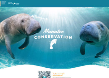 Manatee Conservation Website